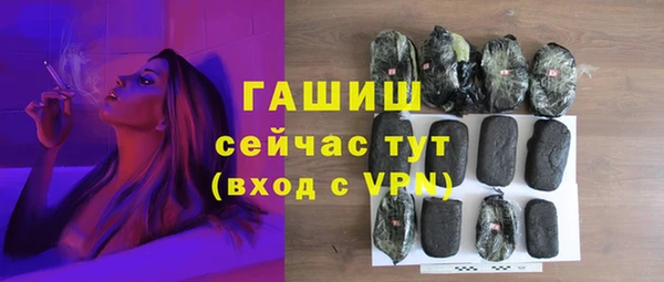 стаф Касимов