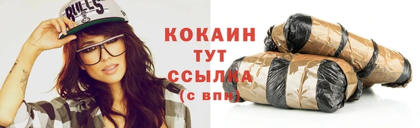 стаф Касимов
