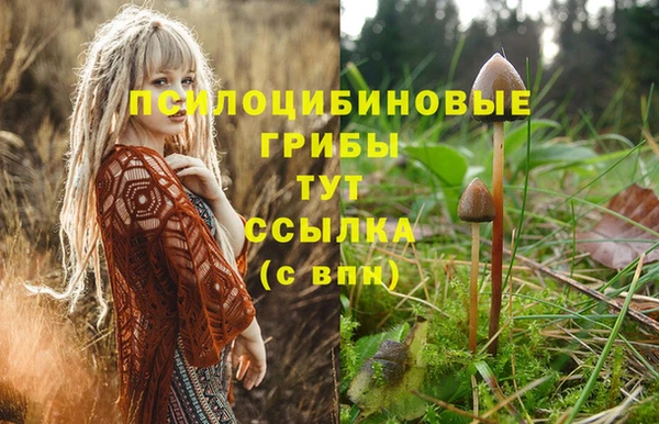 MDMA Premium VHQ Киренск