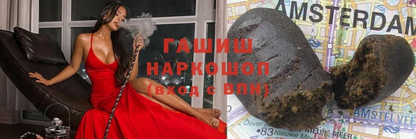 стаф Касимов