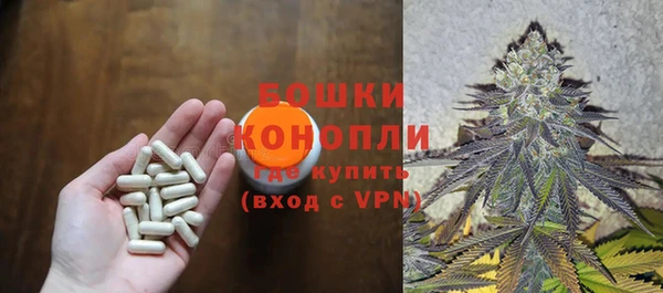 стаф Касимов
