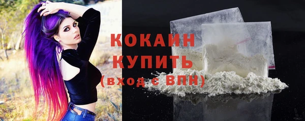 твердый Киреевск